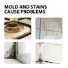 Household Mold & Stain Cleaner